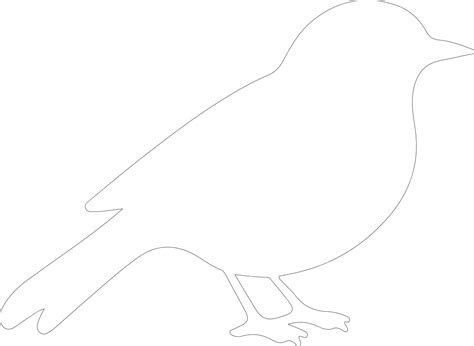 Premium Vector | Eastern bluebird outline with transparent background