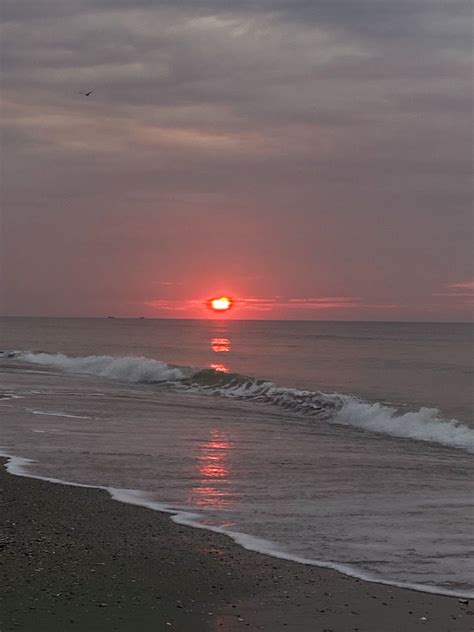 vsco, beach, walks, hot girl, sunrise, aesthetic, sand, water, pink ...