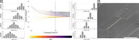 Figure 1 From Observation Of Wannier Stark Ladder Beyond Mobility Edge