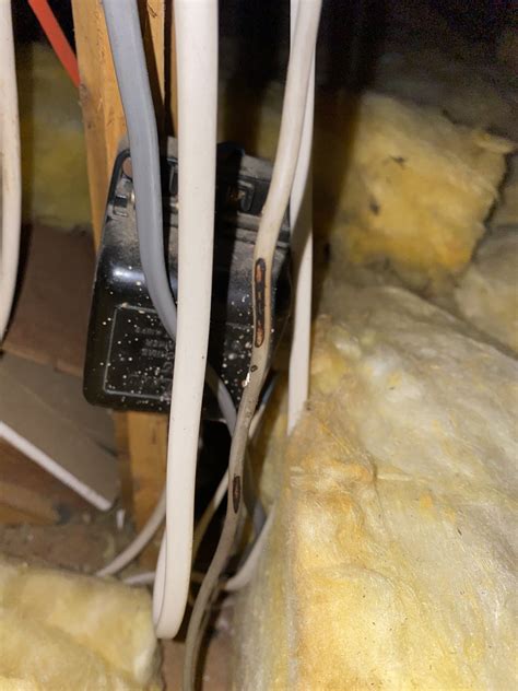 Recent Electrical Test Uncovers Many Errors Cheltenham