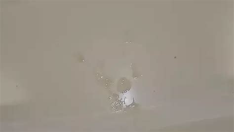 Vídeos gay de Sudafricano xHamster