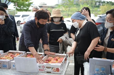 경산시 복숭아 직거래장터 제8회 도도데이 개최