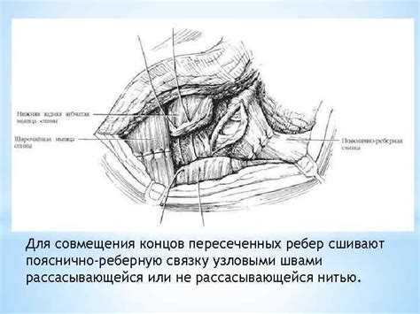 Выполнила студентка 4 курса педиатрического факультета