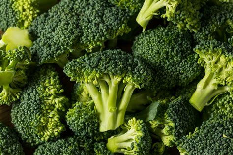 Brocoli secrets de culture et astuces pour une récolte abondante