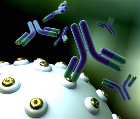 Monoclonal Antibodies Summary