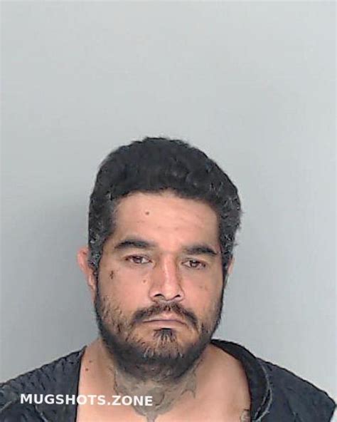 Guerrero Saul Nueces County Mugshots Zone