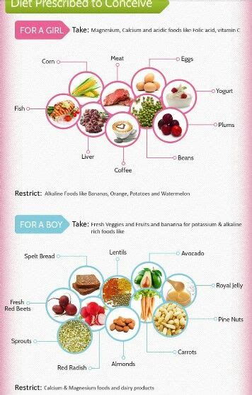 Diet For Conceiving A Girl