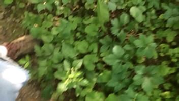 Trilha Videos Page 4 XVIDEOS