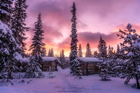 Les Plus Belles Photos De Naturephotographie Christmas Background