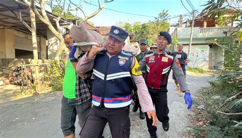 NUSABALI WNA Asal Belanda Meninggal Di Nusa Penida