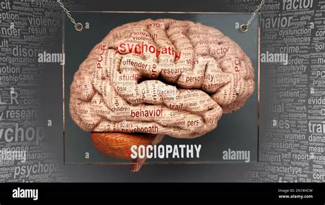 Sociopathy In Human Brain Dozens Of Important Terms Describing