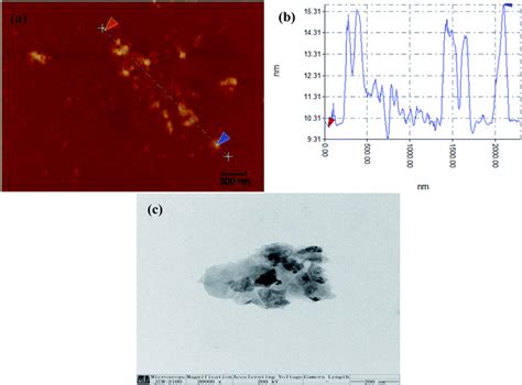 Epoxy Composites With Functionalized Molybdenum Disulfide Nanoplatelet