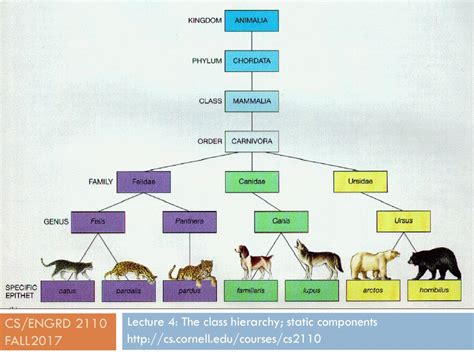 CS ENGRD 2110 Fall2017 Lecture 4 The Class Hierarchy Static