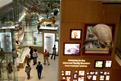 Smithsonian National Museum of Natural History