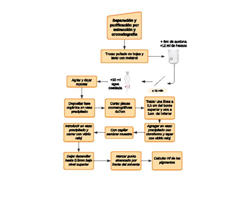 Diagrama de flujo Separación y purificación por extracción y