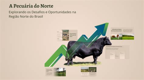 Escreva Como Se Caracteriza A Pecuária Praticada Na Região Norte - A Pecuária do Norte by Álvaro Gabriel on Prezi