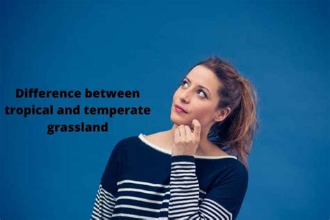 Difference Between Tropical And Temperate Grassland Enterprise Passion