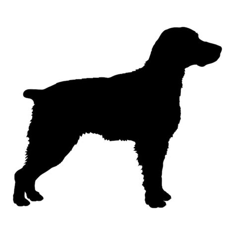 Hunde Silhouette Bretagne Hunde Rassen Logo Hunde Monogram Vektor