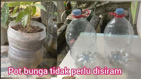 Pot Bunga Dari Galon Tidak Perlu Disiram Galon Bekas Kreatifmantap