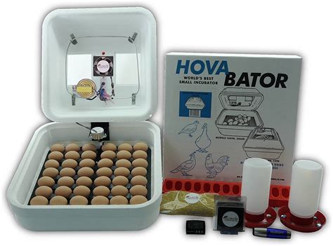 Hovabator Premier Egg Incubator Combo Kit Amazon Ca Patio Lawn Garden