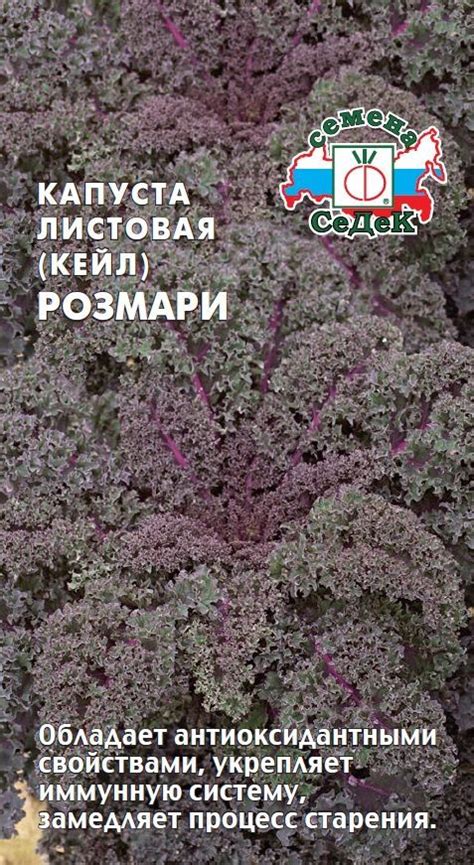 Семена капусты > Листовая (Кейл) - интернет-магазин СеДеК