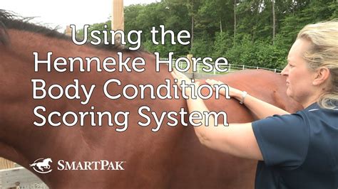 Using The Henneke Horse Body Condition Scoring System Youtube