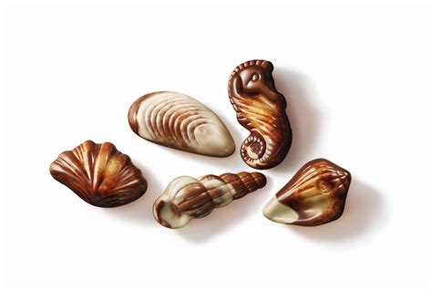 Guylian 22 Piece Chocolate Seashells with Original Praliné in Luxe