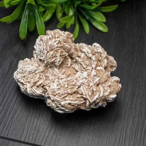 Desert Rose Selenite 6 The Crystal Council