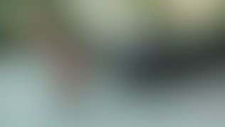 Tera Patrick Milks Big Hard Cock After Hard Wild Pussy Pounding Vid Os Porno Gratuites