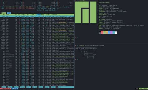 Alacritty Zsh Tmux Nvim Yu Dev