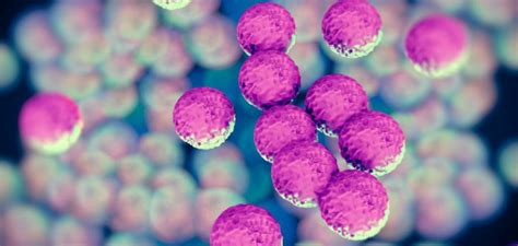 Antibiotic Resistant Superbugs May Claim Millions Of Lives And 100