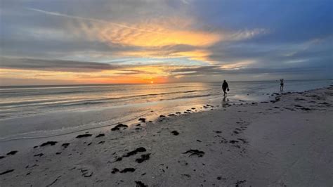 Siesta key beach sunset : r/beach