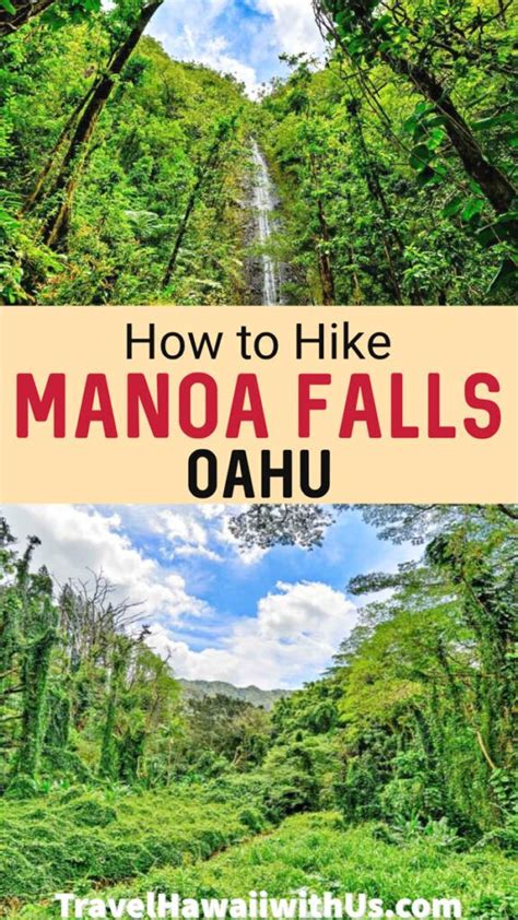 Manoa Falls Trail Hike Honolulu Oahu Hi 2024 Guide Artofit