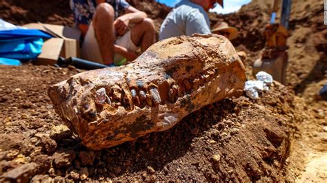 Video 100 Million Year Old Plesiosaur Fossil Discovered In Australia Cnn Video