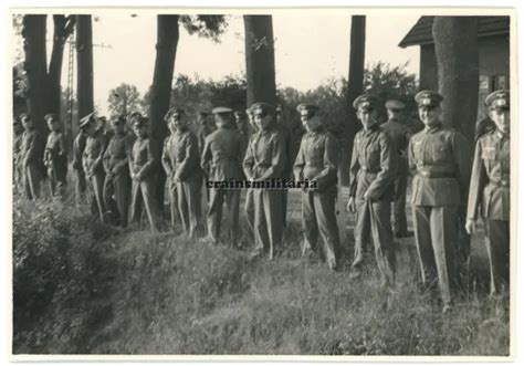 ORIG FOTO NACKTE Soldaten Erg Btl 41 Beim Pinkeln In PADERBORN Nude