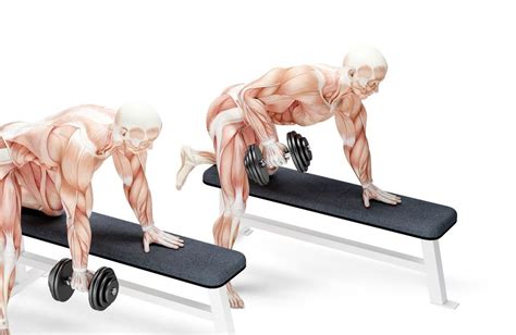 Build Muscle All Over and Burn Fat With This 5-Move Dumbbell Workout ...