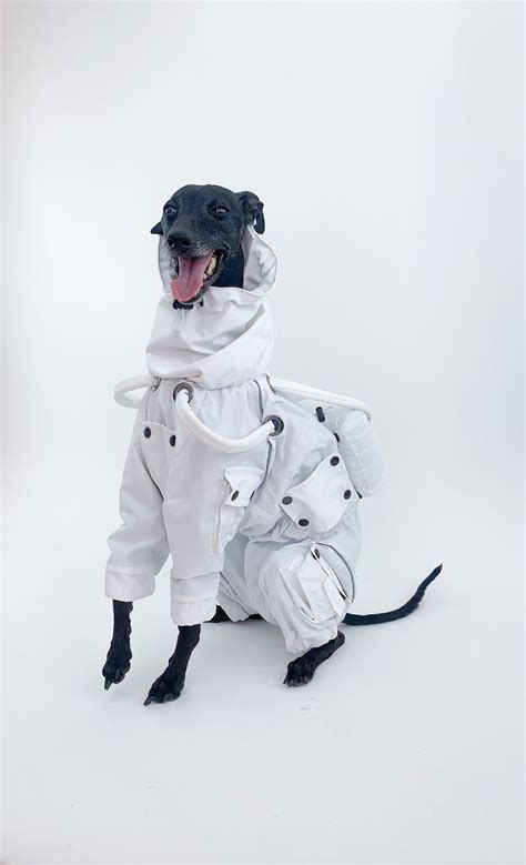 Astronaut Dog Costume: Spaceman Halloween Outfit, Custom Fit - Etsy