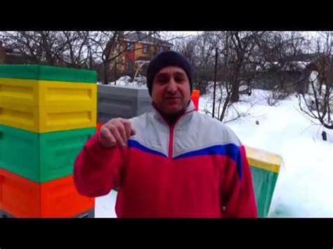 Улей МЕДВЕДЬ ППУ - YouTube