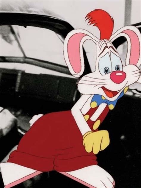 Кролик Роджер фото на - 24СМИ