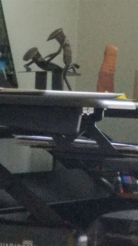 Identify This Dildo Looking Object Please R Wtf