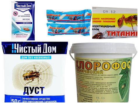Хлорофос от клопов – механизм действия и инструкция