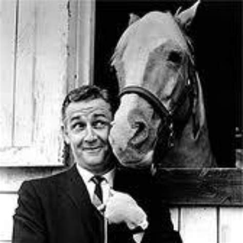 Mr Ed Mister Ed Old Tv Shows Classic Tv