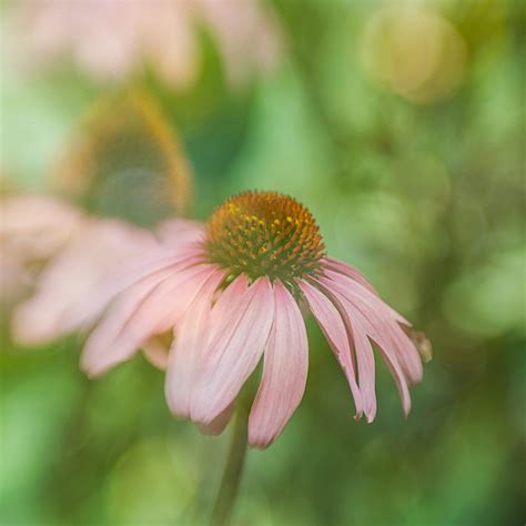 upgrading   fuji xt  journey  multiple exposures julie