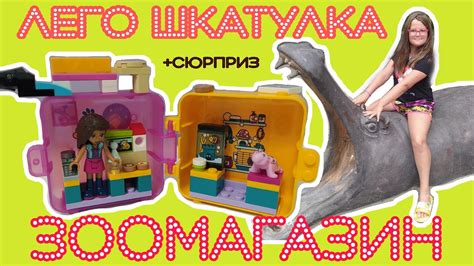 Лего шкатулка Зоомагазин - YouTube