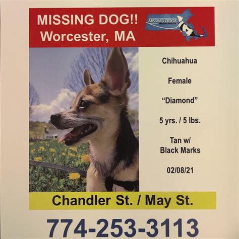 Help Find Diamond