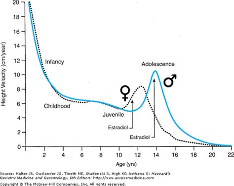 Sex And Gender Across The Human Life Span Oncohema Key
