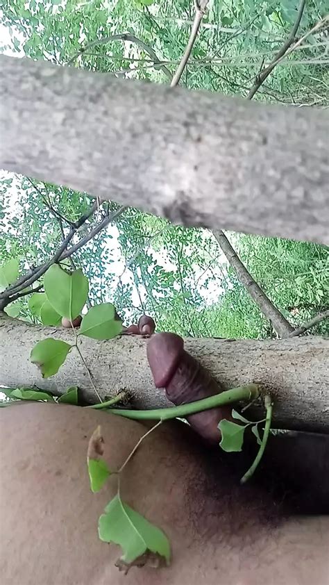 Sex With Trees Indian Gay Asian Asian Porn Xhamster