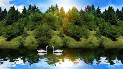 Beautiful Nature Wallpaper | PixelsTalk.Net 