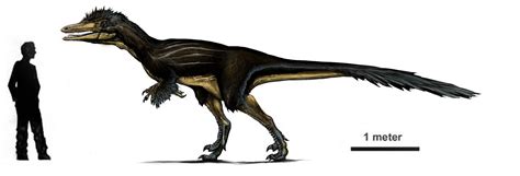 Австрораптор Austroraptor — Динопедия