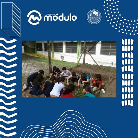 Colégio Anglo Módulo Caraguatatuba